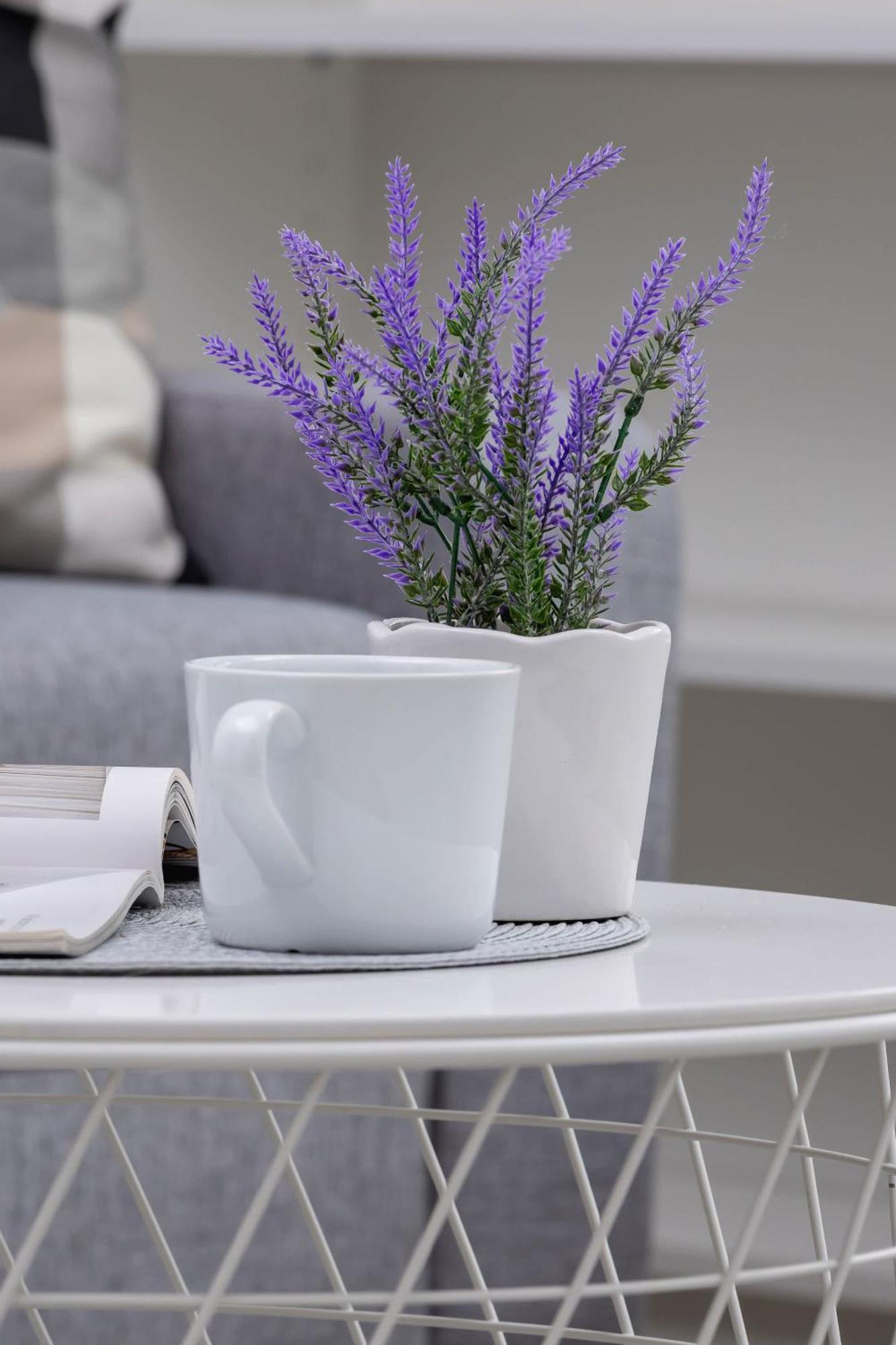 Modern With Air Conditioning And Parking In Cracow By Renters Apartment *